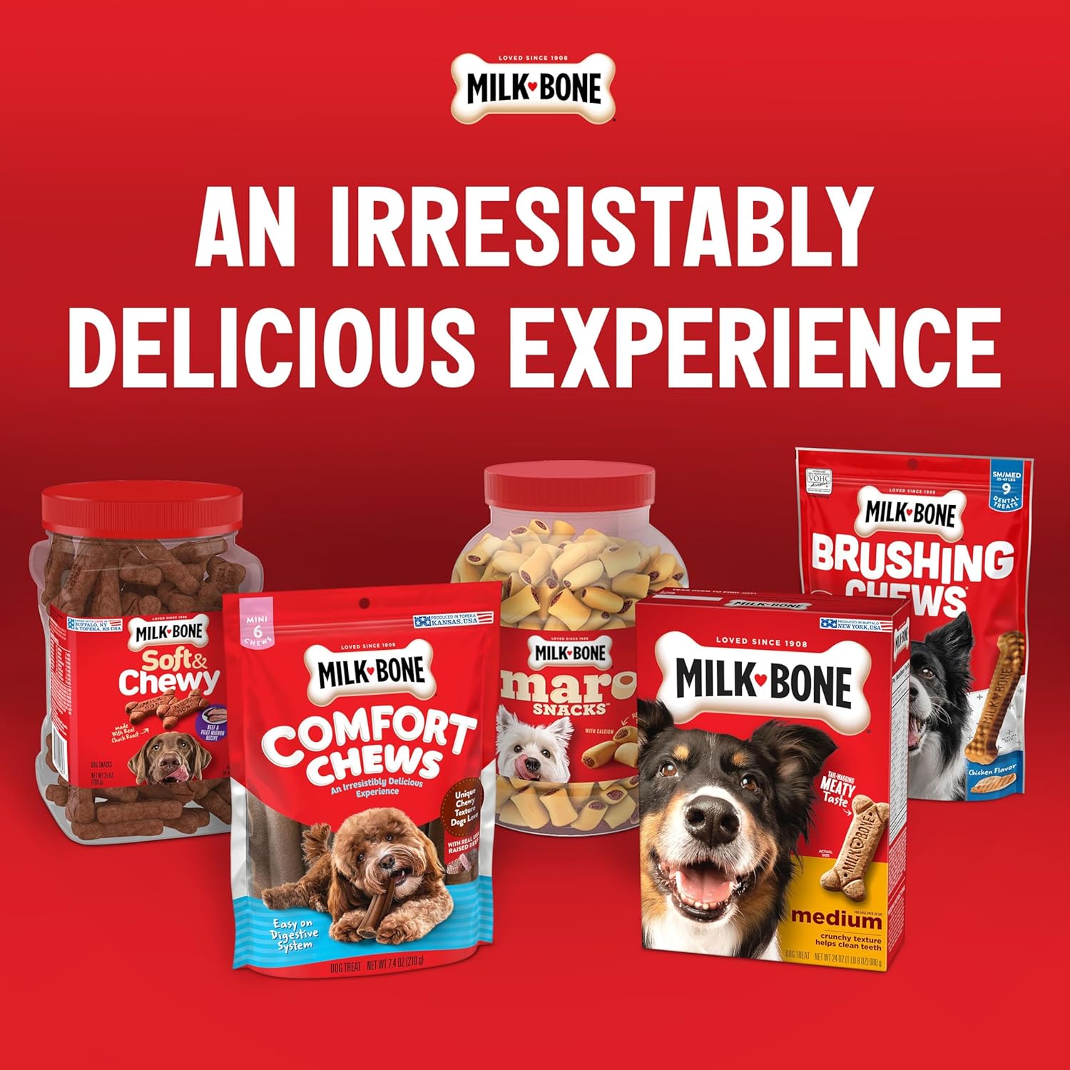 Milk-Bone Original Dog Treats Biscuits for Medium Dogs, 10 Pound