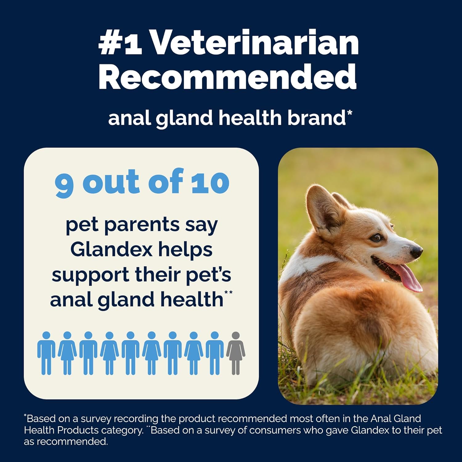 Vetnique Glandex Anal Gland Soft Chew Treats with Pumpkin for Dogs Digestive Enzymes, Probiotics Fiber Supplement for Dogs Boot The Scoot (Peanut Butter Chews, 60 Count)