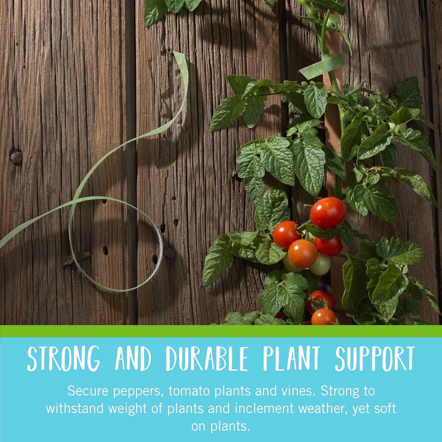 VELCRO Brand VEL-30071-USA ONE-WRAP Garden Ties | Plant Supports for Effective Growing | Strong Grips are Reusable and Adjustable | Cut-to-Length, 50 ft x 1/2 in, Green-Recycled Plastic